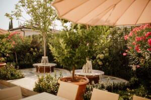 PANCHINE PIANTE2